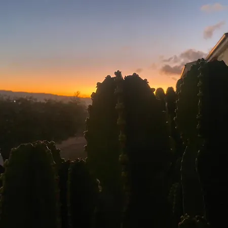 Il Mamuthones Apartamento *